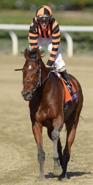 Jockey Ramon Dominguez on Little Mike